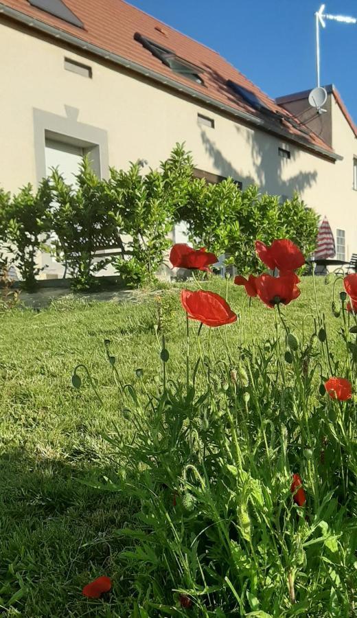 Le Feneau Maison D'Hotes Creuzier-le-Neuf Eksteriør bilde